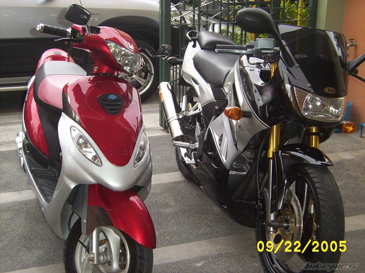 2005 MOTORSTAR EXPLORER Z200 | Picture 455514 motorcycle photo
