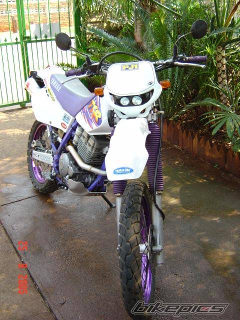 1999 YAMAHA TTR 250 | Picture 455585 motorcycle photo