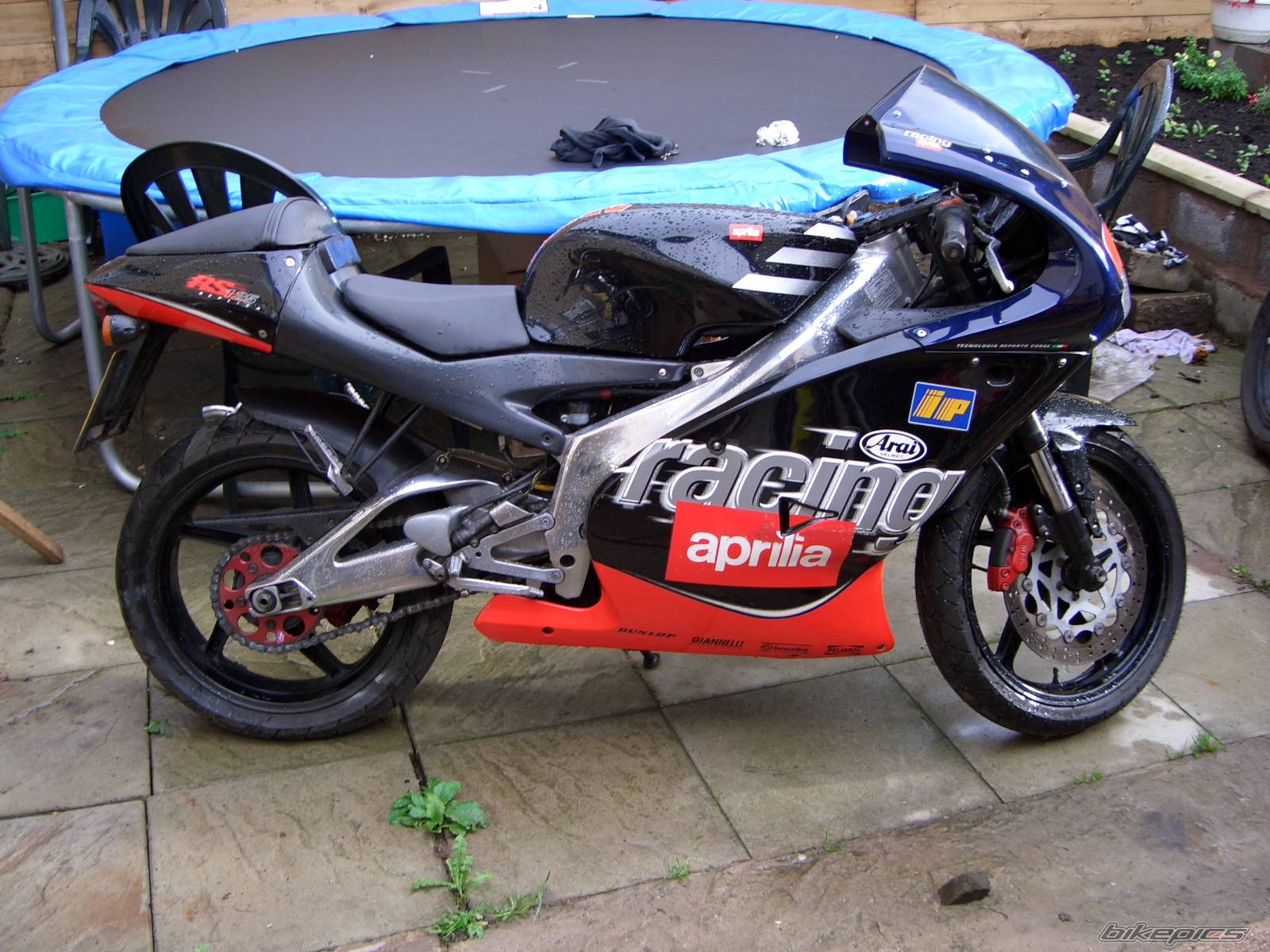 1999 APRILIA RS 125 | Picture 455685 motorcycle photo