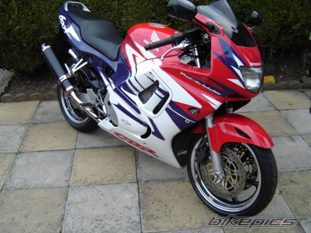 1997 HONDA CBR 600 | Picture 455771 motorcycle photo