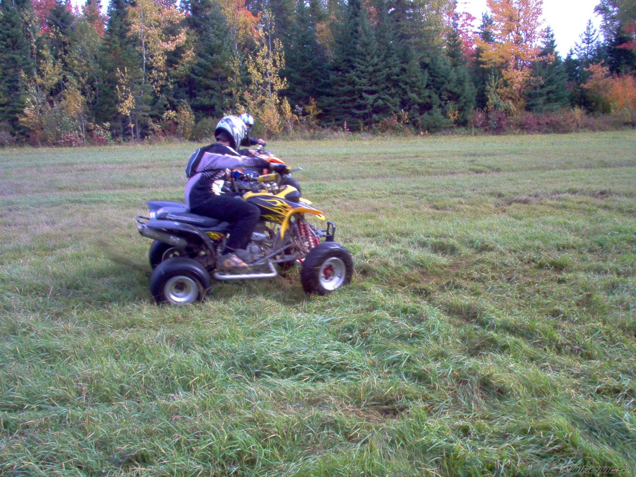 2001 HONDA 400EX | Picture 455967 motorcycle photo