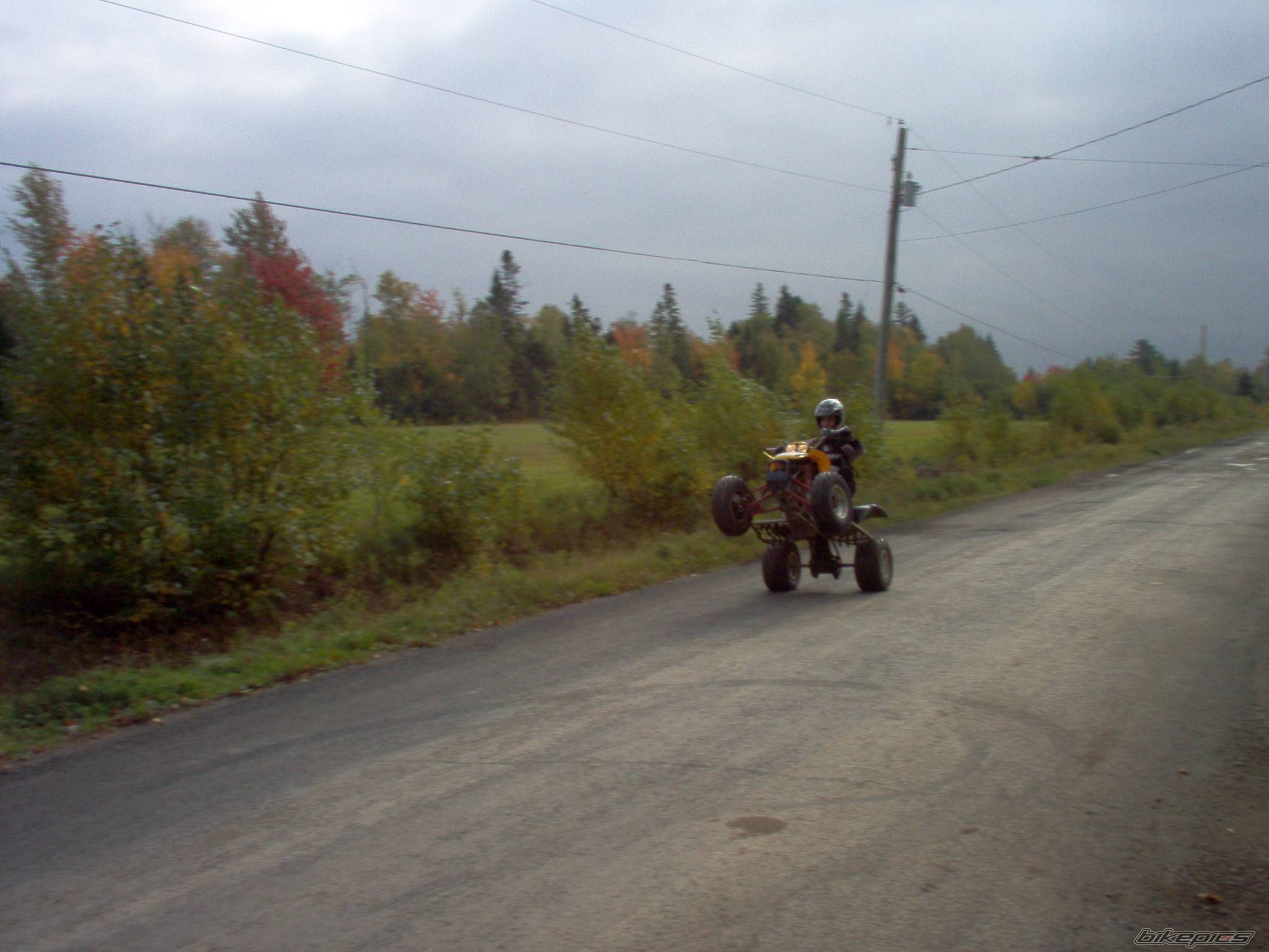 2001 HONDA 400EX | Picture 455969 motorcycle photo