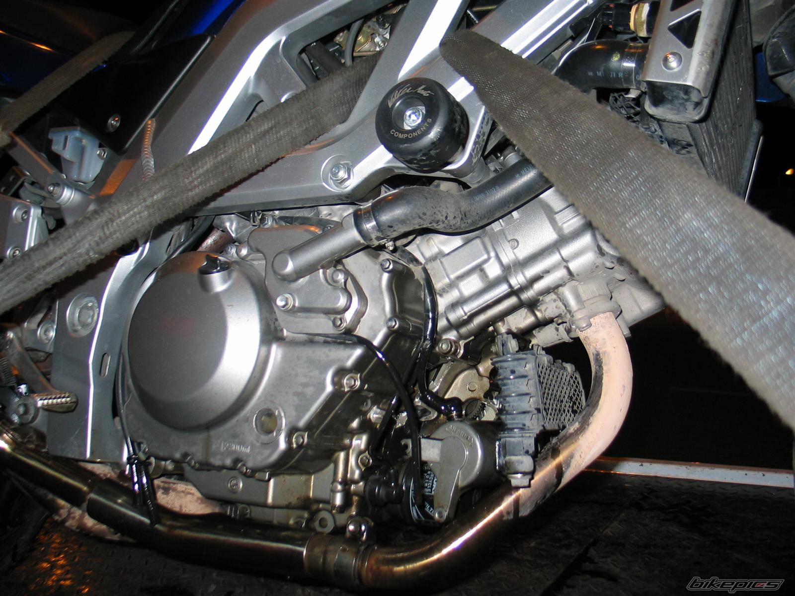 2003 SUZUKI SV 650S | Picture 456016 motorcycle photo