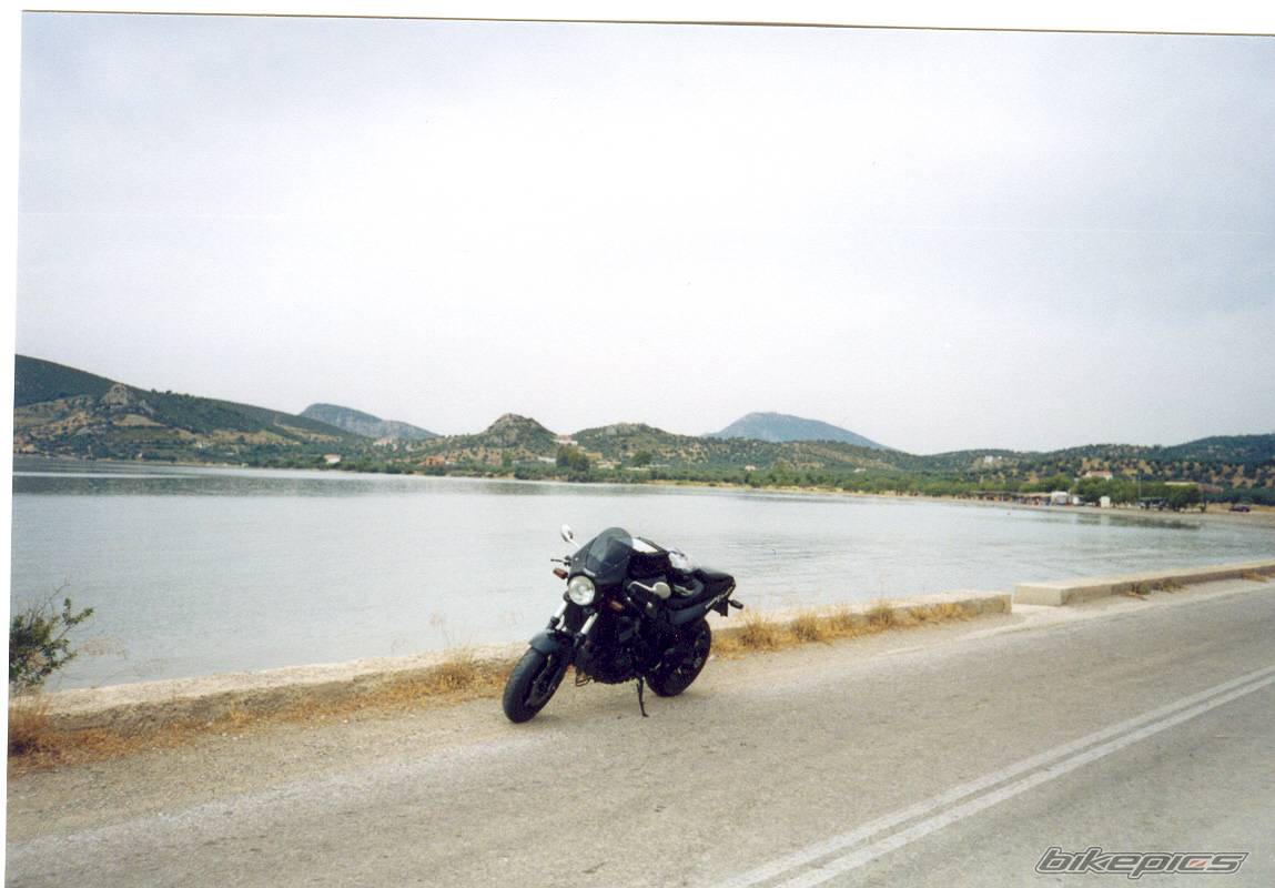 1995 TRIUMPH SPEED TRIPLE | Picture 45635 motorcycle photo