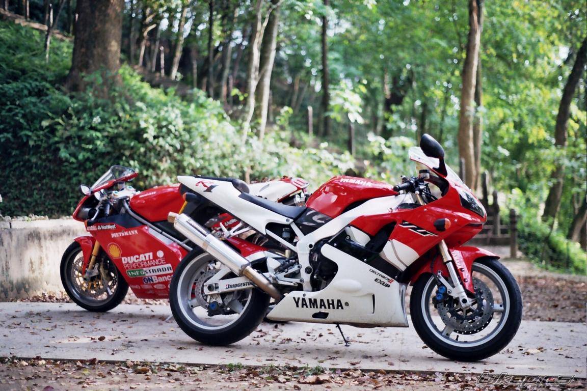 1999 YAMAHA YZF R1 | Picture 45647 motorcycle photo