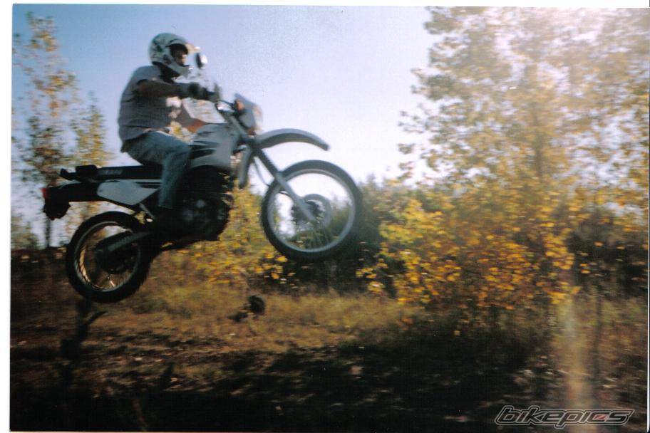 2000 YAMAHA XT 350 | Picture 457323 motorcycle photo