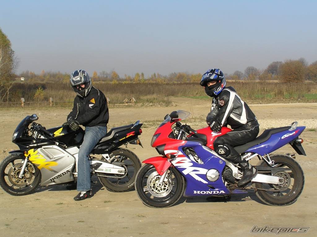 1999 HONDA CBR 600 | Picture 457824 motorcycle photo