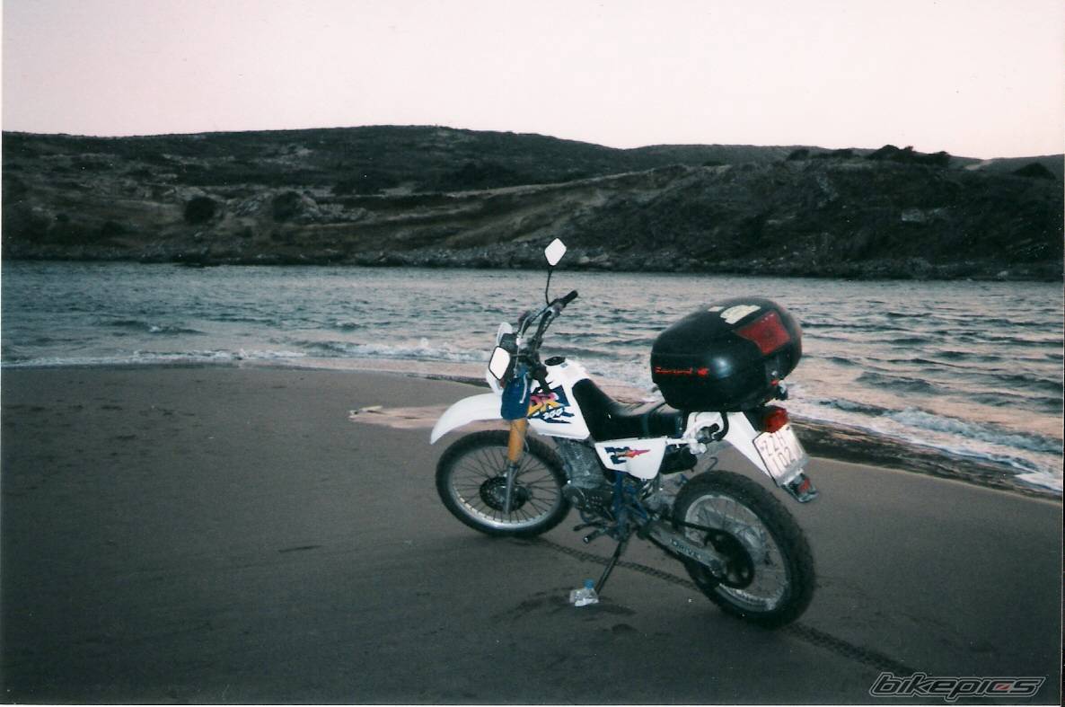 1998 SUZUKI DR 200 | Picture 457847 motorcycle photo
