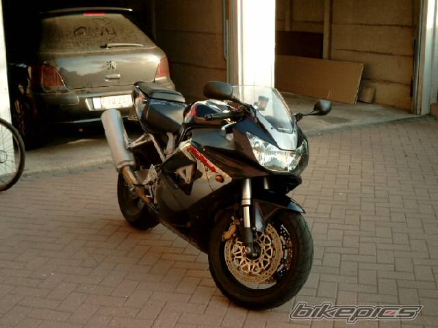 2000 HONDA CBR 900 | Picture 457930 motorcycle photo