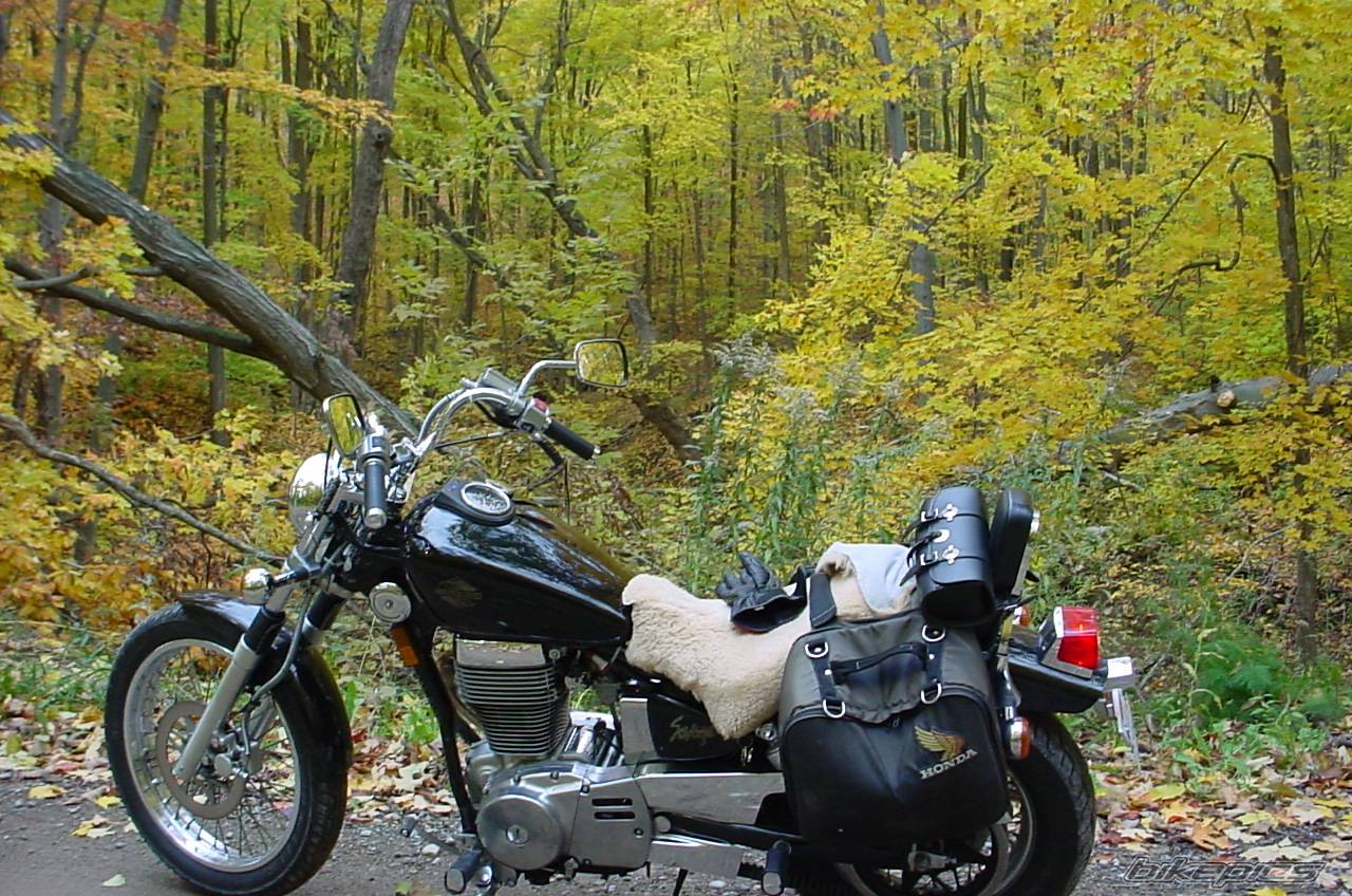 1986 SUZUKI SAVAGE | Picture 457952 motorcycle photo