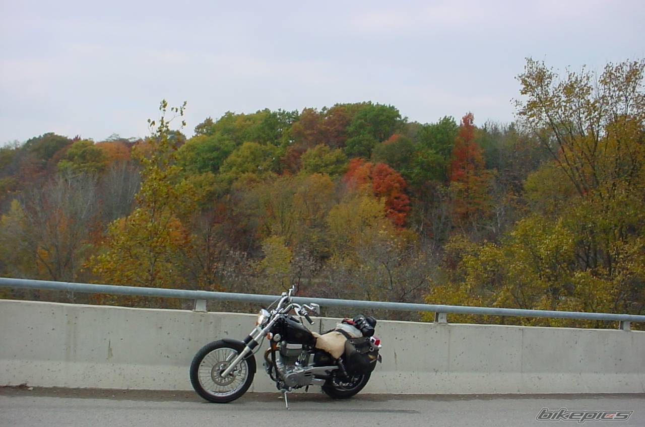 1986 SUZUKI SAVAGE | Picture 457953 motorcycle photo