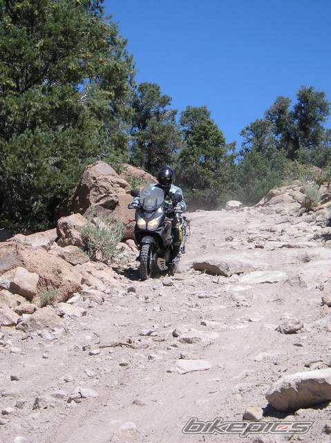 2005 SUZUKI DL 1000 | Picture 457957 motorcycle photo