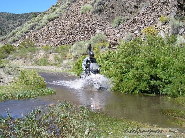 2005 SUZUKI DL 1000 | Picture 457958 motorcycle photo