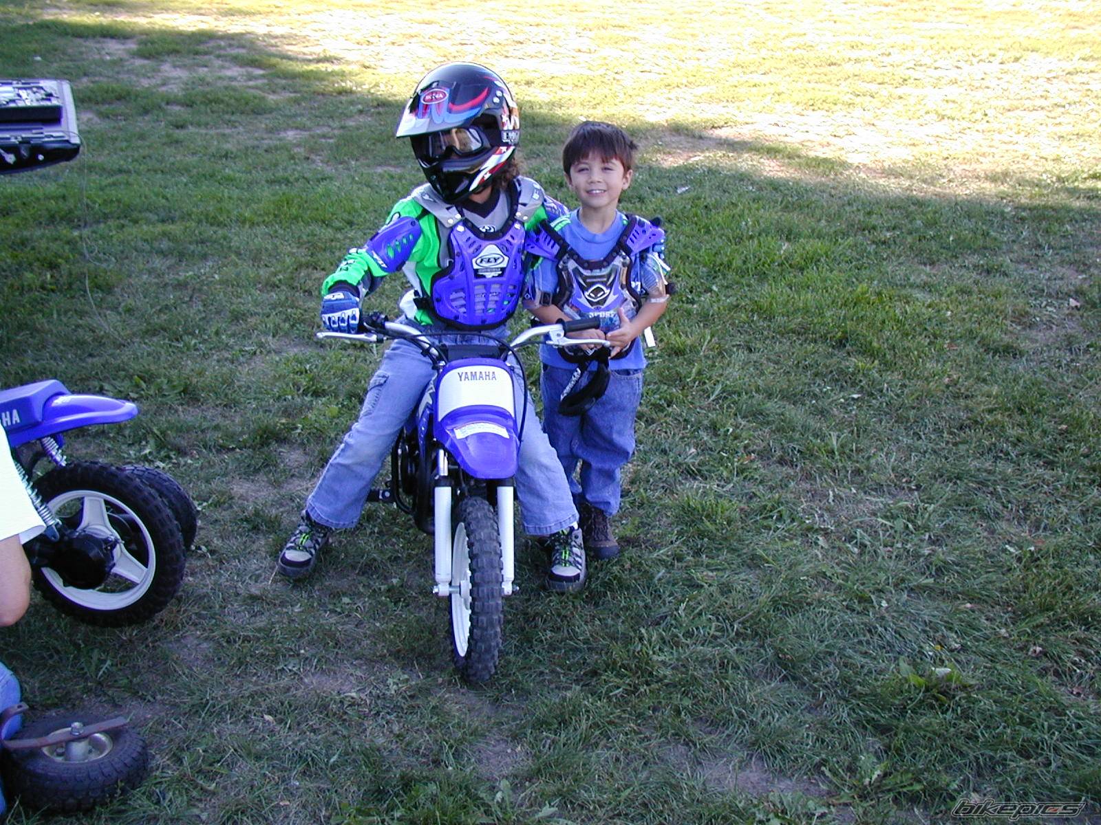 2002 YAMAHA PW 50 | Picture 458330 motorcycle photo