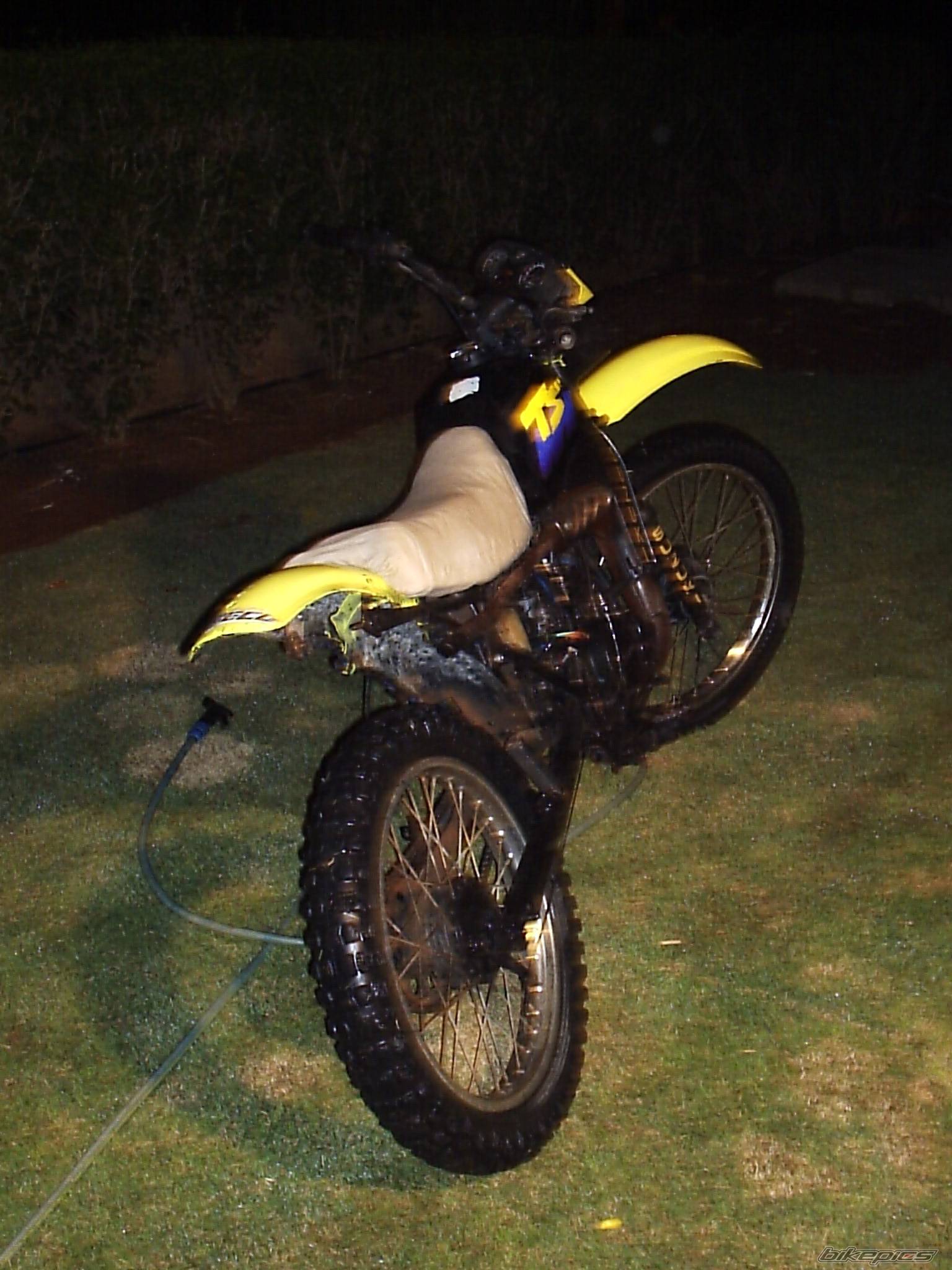 1997 SUZUKI TS 50 | Picture 458629 motorcycle photo