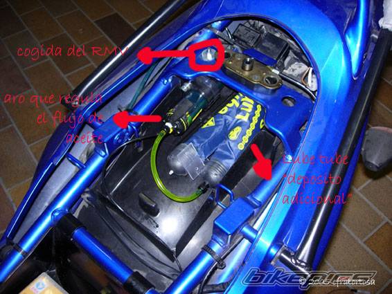 2002 SUZUKI BANDIT 600 | Picture 458928 motorcycle photo