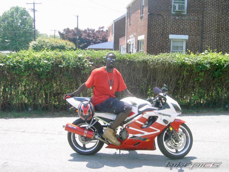 2001 HONDA CBR 600 | Picture 458992 motorcycle photo