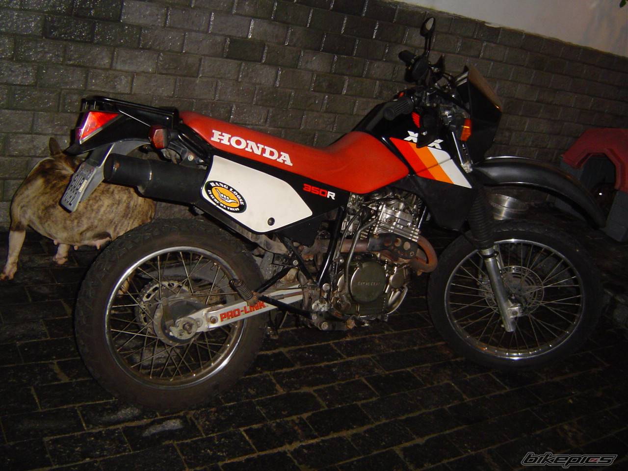 1988 HONDA XL 350 | Picture 459403 motorcycle photo