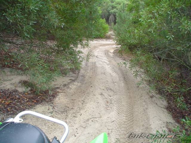 2005 ARCTIC CAT SPORT CAT DVX 400 | Picture 460131 motorcycle photo
