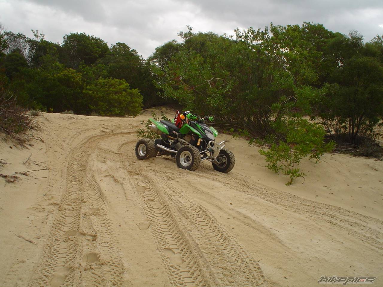2005 ARCTIC CAT SPORT CAT DVX 400 | Picture 460133 motorcycle photo