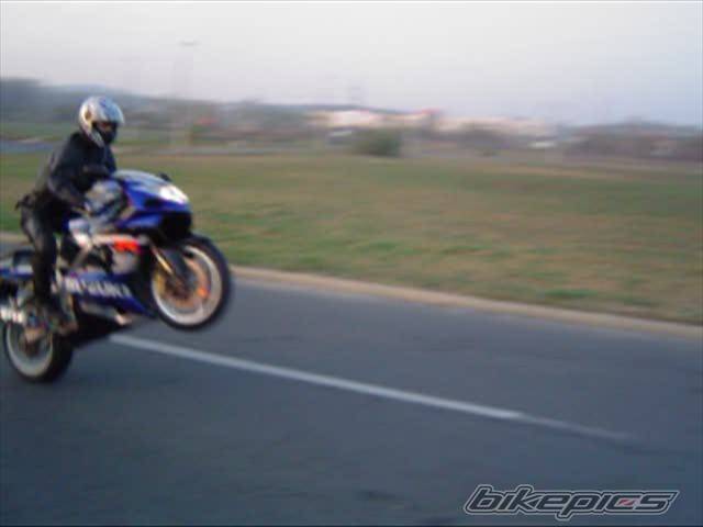 2002 SUZUKI GSX R 1000 | Picture 460863 motorcycle photo
