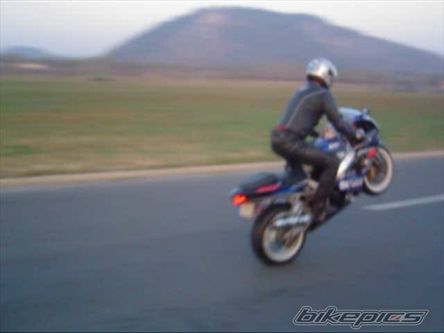 2002 SUZUKI GSX R 1000 | Picture 460864 motorcycle photo
