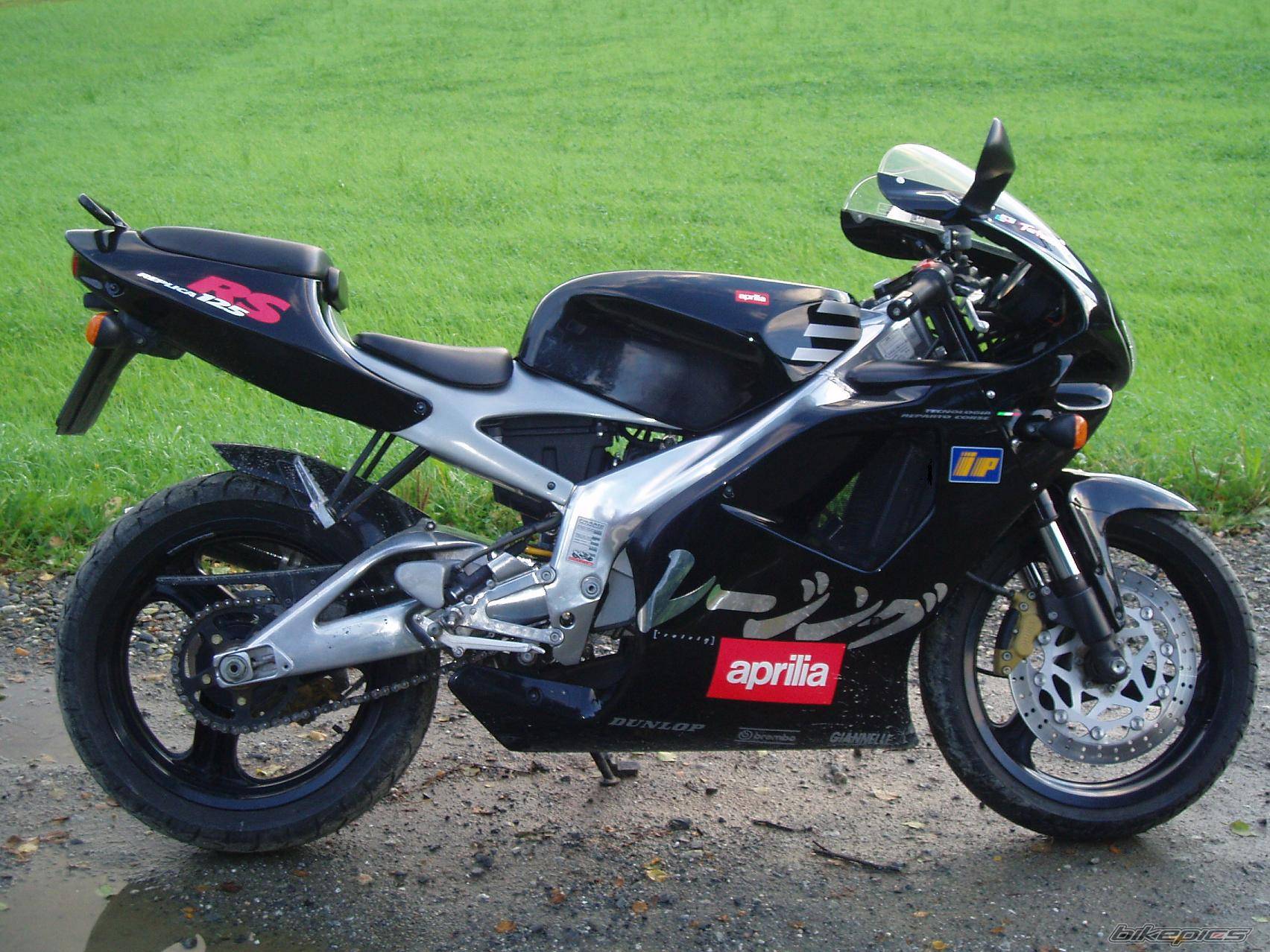 1998 APRILIA RS 125 | Picture 460874 motorcycle photo