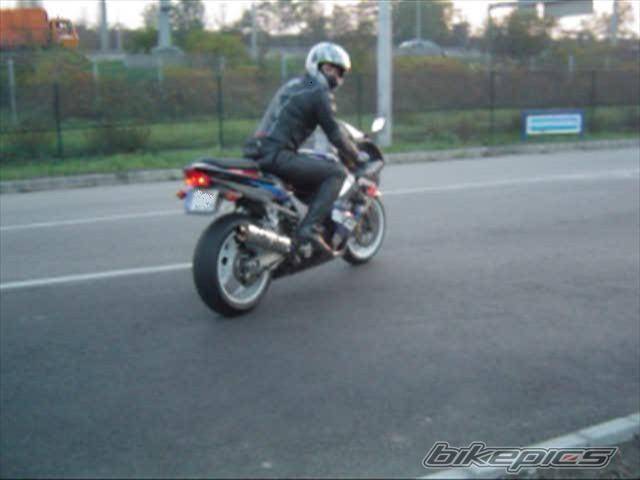 2002 SUZUKI GSX R 1000 | Picture 460875 motorcycle photo