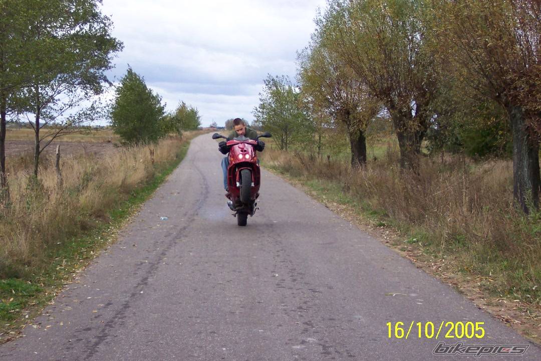 1997 MALAGUTI PHANTOM 50 F12 | Picture 460945 motorcycle photo