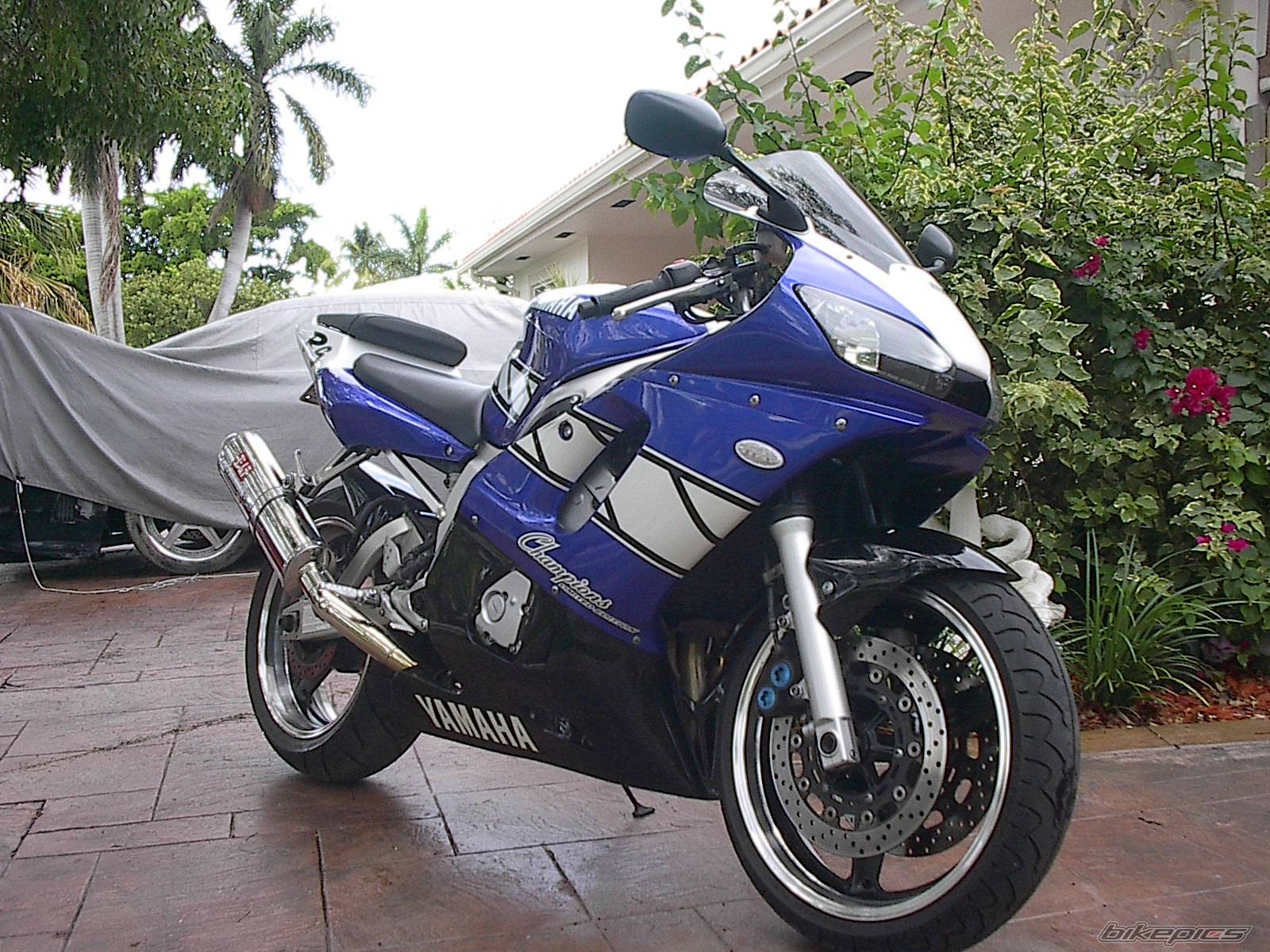 2001 YAMAHA YZF R6 | Picture 46120 motorcycle photo