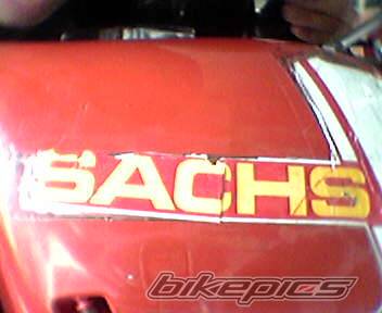 1989 SACHS V5 RACING | Picture 461285 motorcycle photo