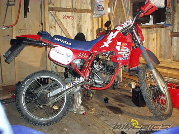 1989 HONDA MTX 50 | Picture 461561 motorcycle photo