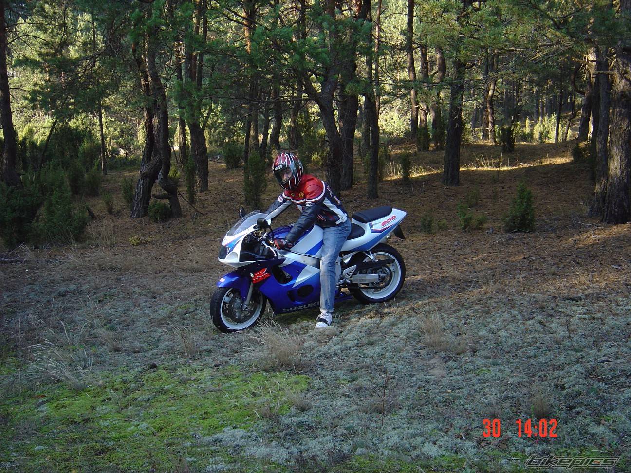 1997 SUZUKI GSX R 600 | Picture 461908 motorcycle photo