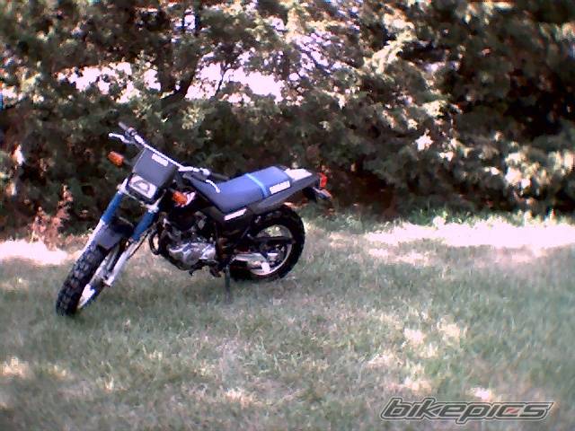 1990 YAMAHA TW 200 | Picture 462089 motorcycle photo