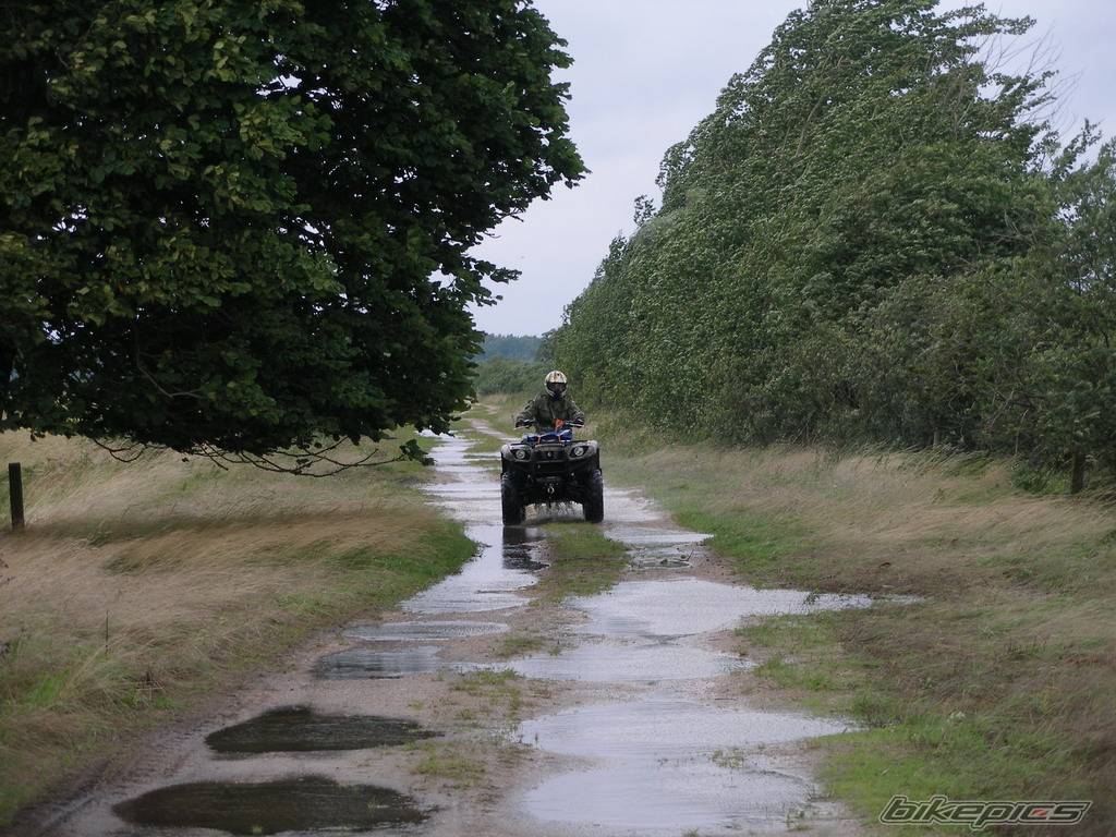 2005 YAMAHA GRIZZLY | Picture 462190 motorcycle photo