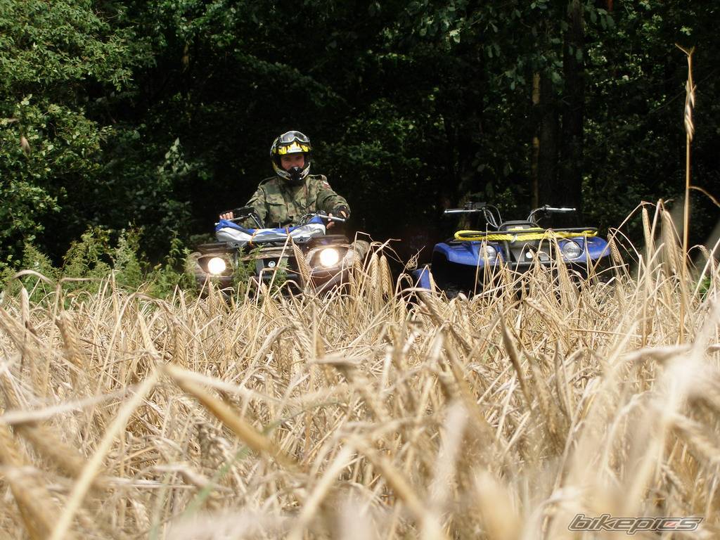 2005 YAMAHA GRIZZLY | Picture 462192 motorcycle photo