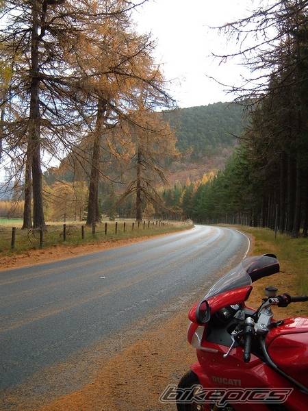 2004 DUCATI ST4S | Picture 462246 motorcycle photo
