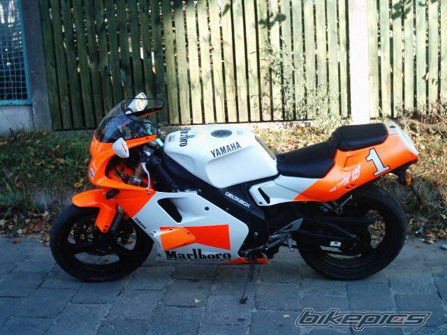 1998 YAMAHA TZR 125 | Picture 462289 motorcycle photo