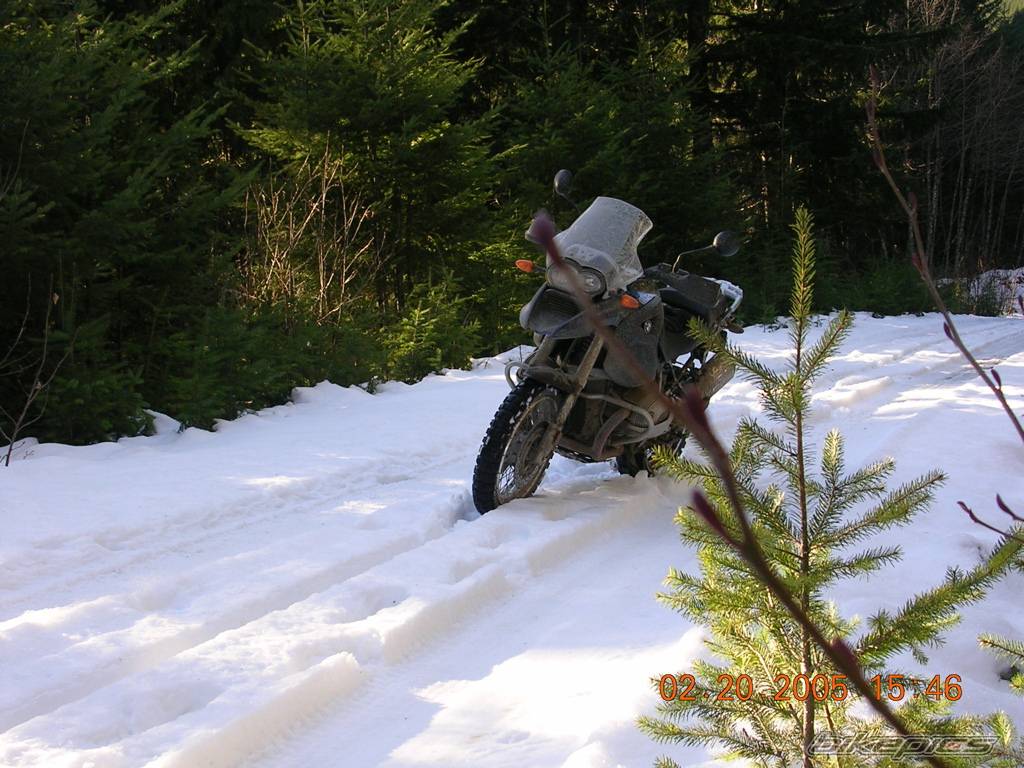 2005 BMW R 1200 GS | Picture 462657 motorcycle photo