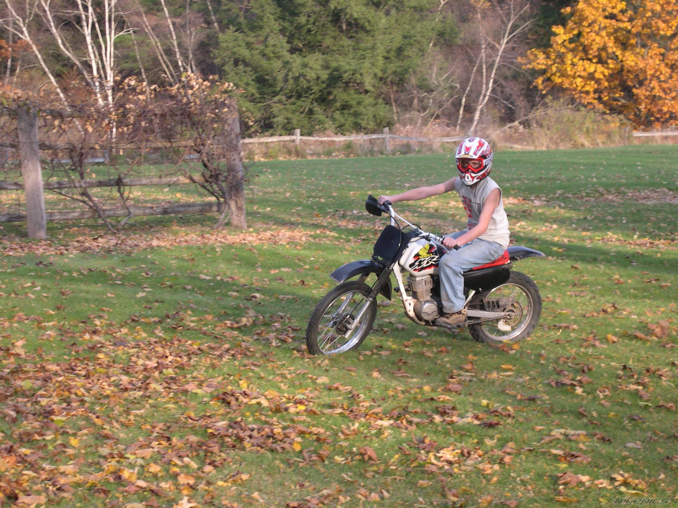 1998 HONDA XR 100 | Picture 462677 motorcycle photo