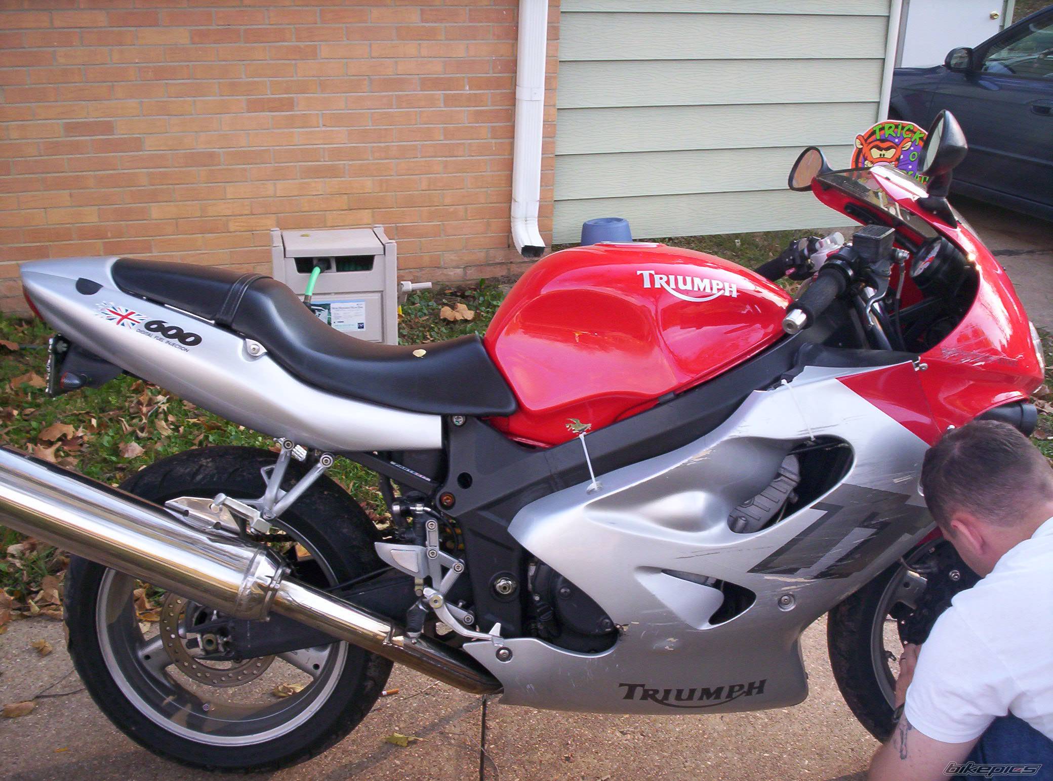 2000 TRIUMPH TT 600 | Picture 462739 motorcycle photo