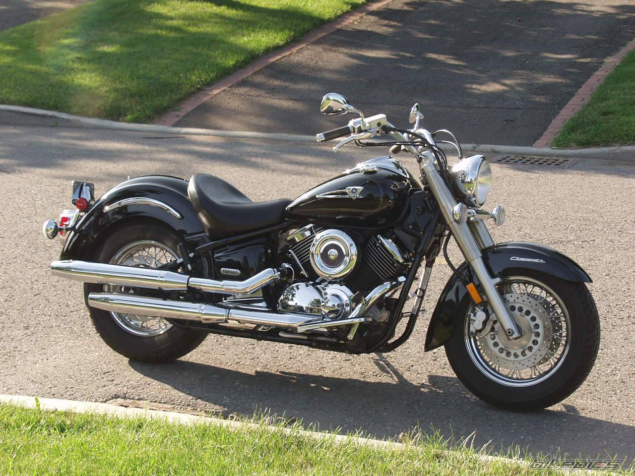 2004 YAMAHA V STAR 1100 | Picture 462750 motorcycle photo