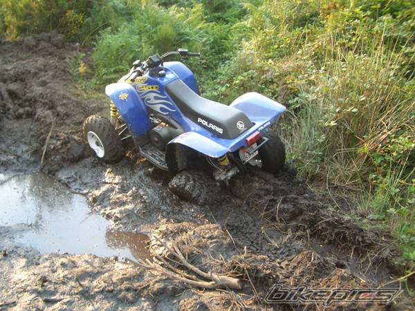 2005 POLARIS TRAIL BLAZER 250 | Picture 463144 motorcycle photo
