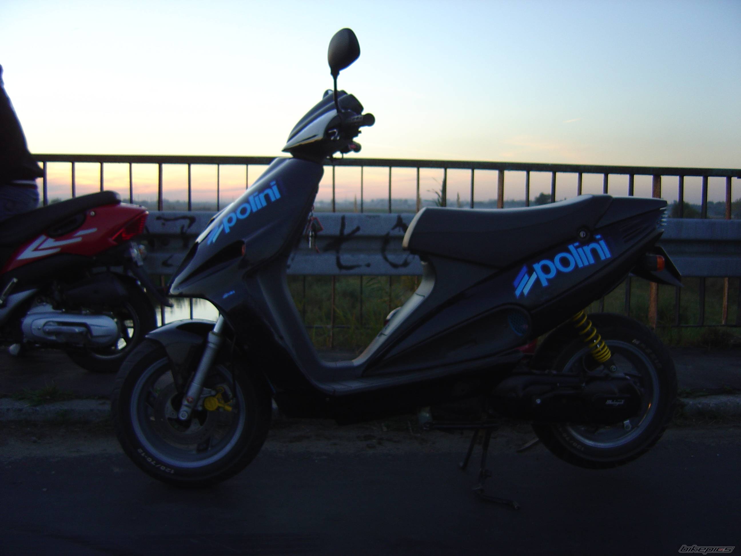 1998 MALAGUTI F 12 50 | Picture 463461 motorcycle photo