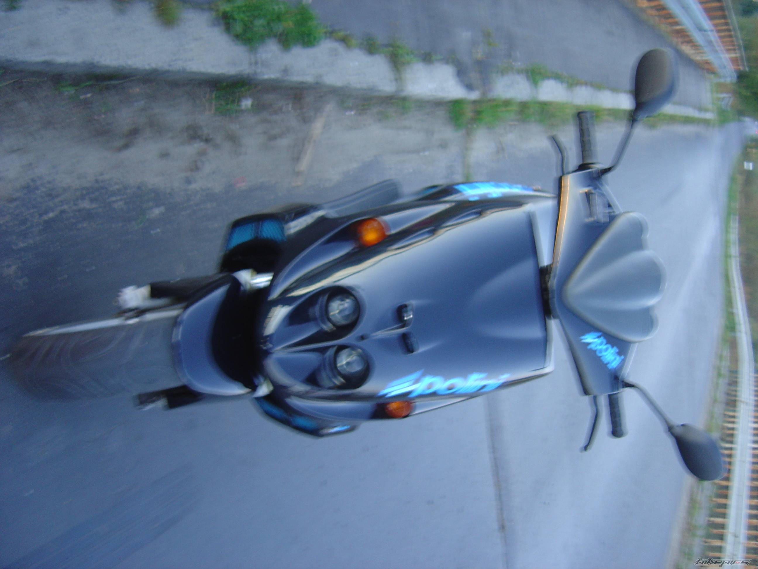 1998 MALAGUTI F 12 50 | Picture 463462 motorcycle photo