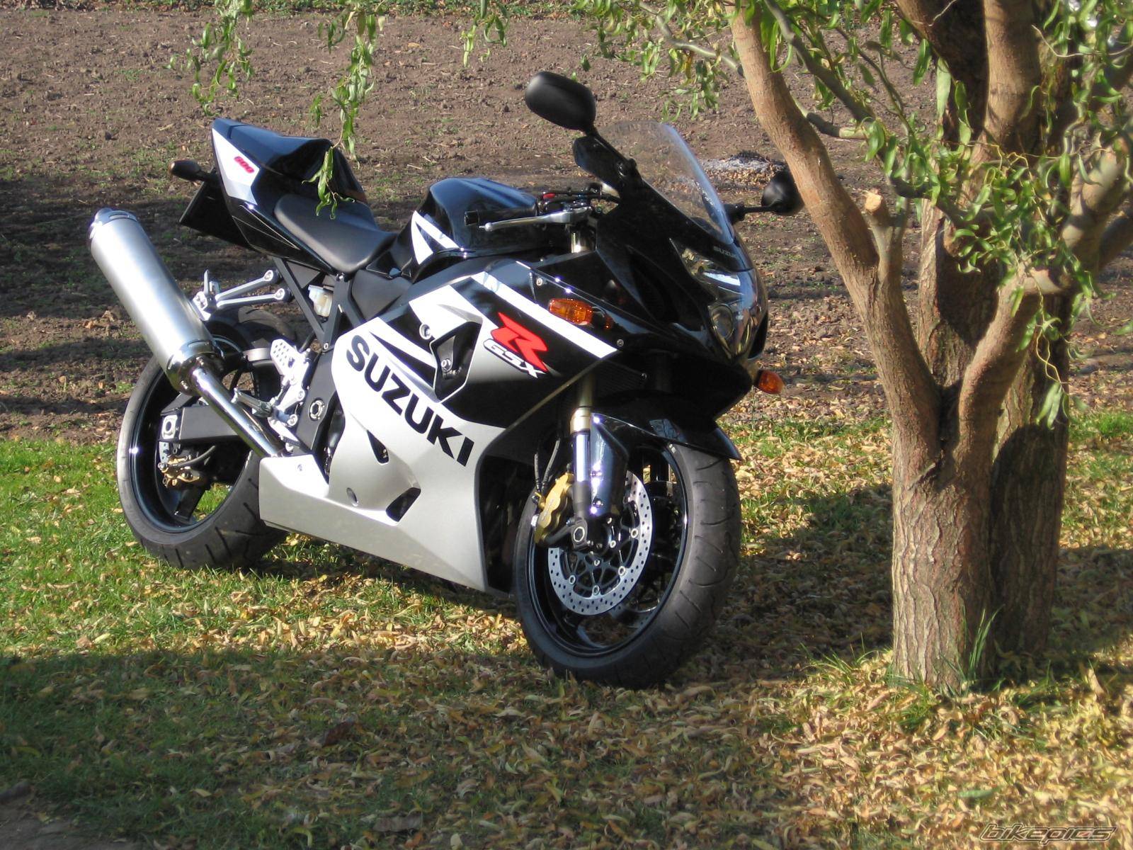 2005 SUZUKI GSX R 600 | Picture 463635 motorcycle photo