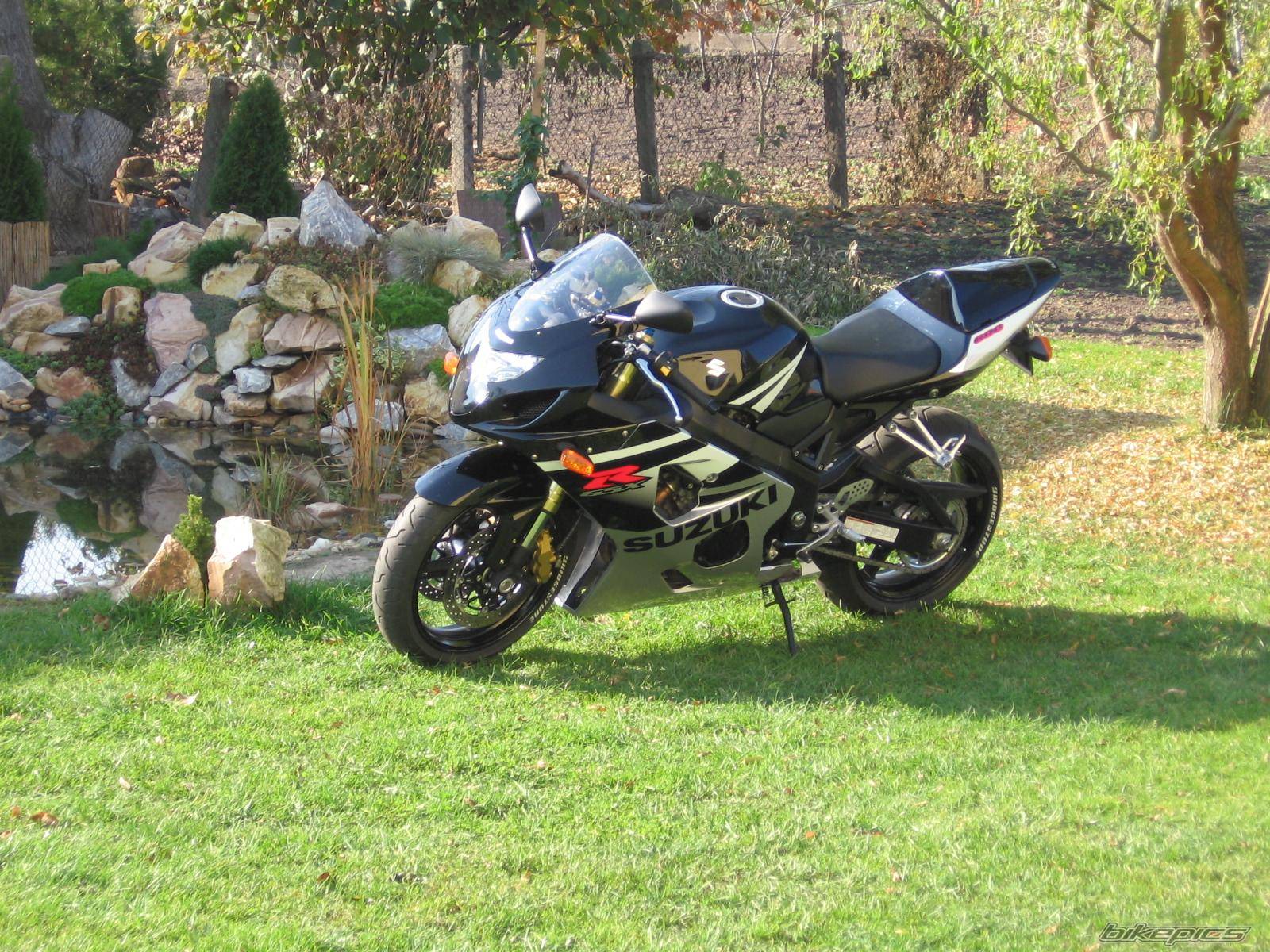 2005 SUZUKI GSX R 600 | Picture 463640 motorcycle photo