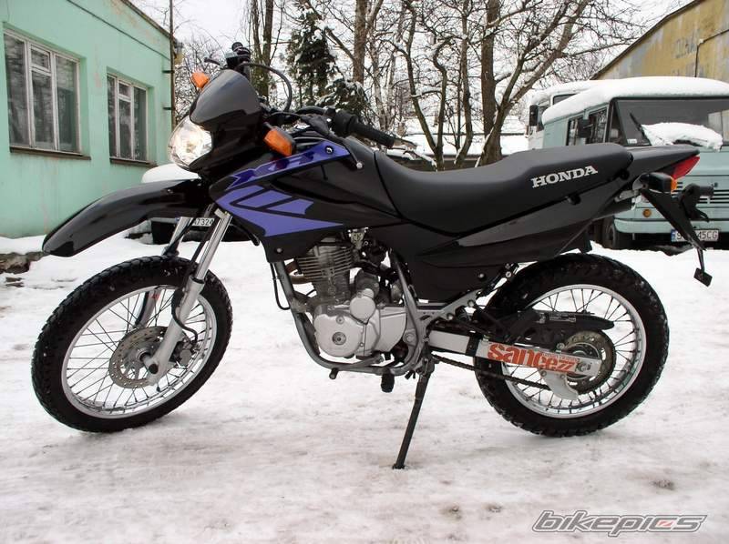 2004 HONDA XR 125 | Picture 463722 motorcycle photo