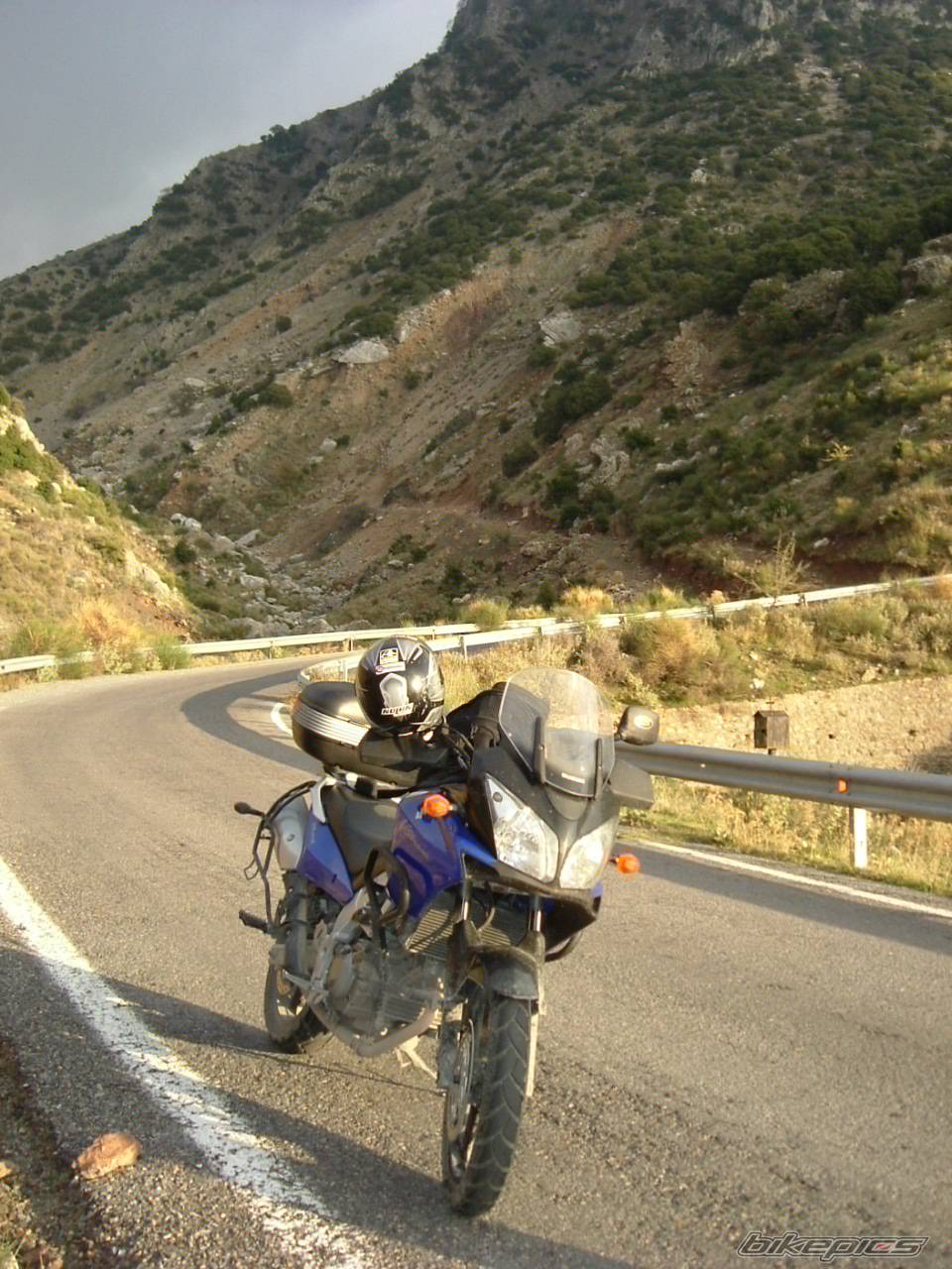 2004 SUZUKI DL 650 | Picture 463839 motorcycle photo