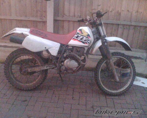 2001 HONDA XLR125 | Picture 463902 motorcycle photo